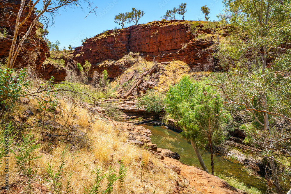Fototapeta premium hiking down in weano gorge in karijini national park, western australia 40