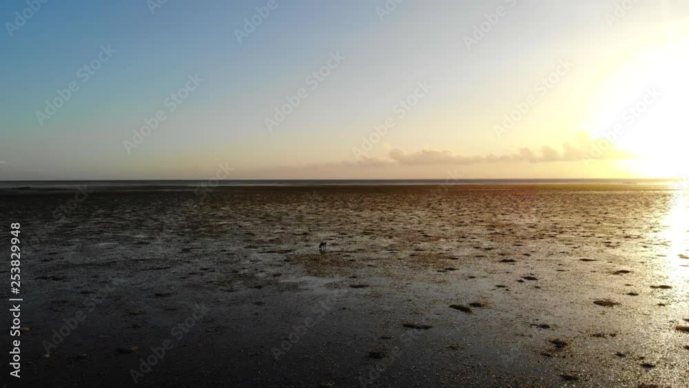Aerial Lone Person Low Tide Flat Empty Landscape at Sunset. Aerial Lone Person Low Tide Flat Empty Landscape at Sunset.