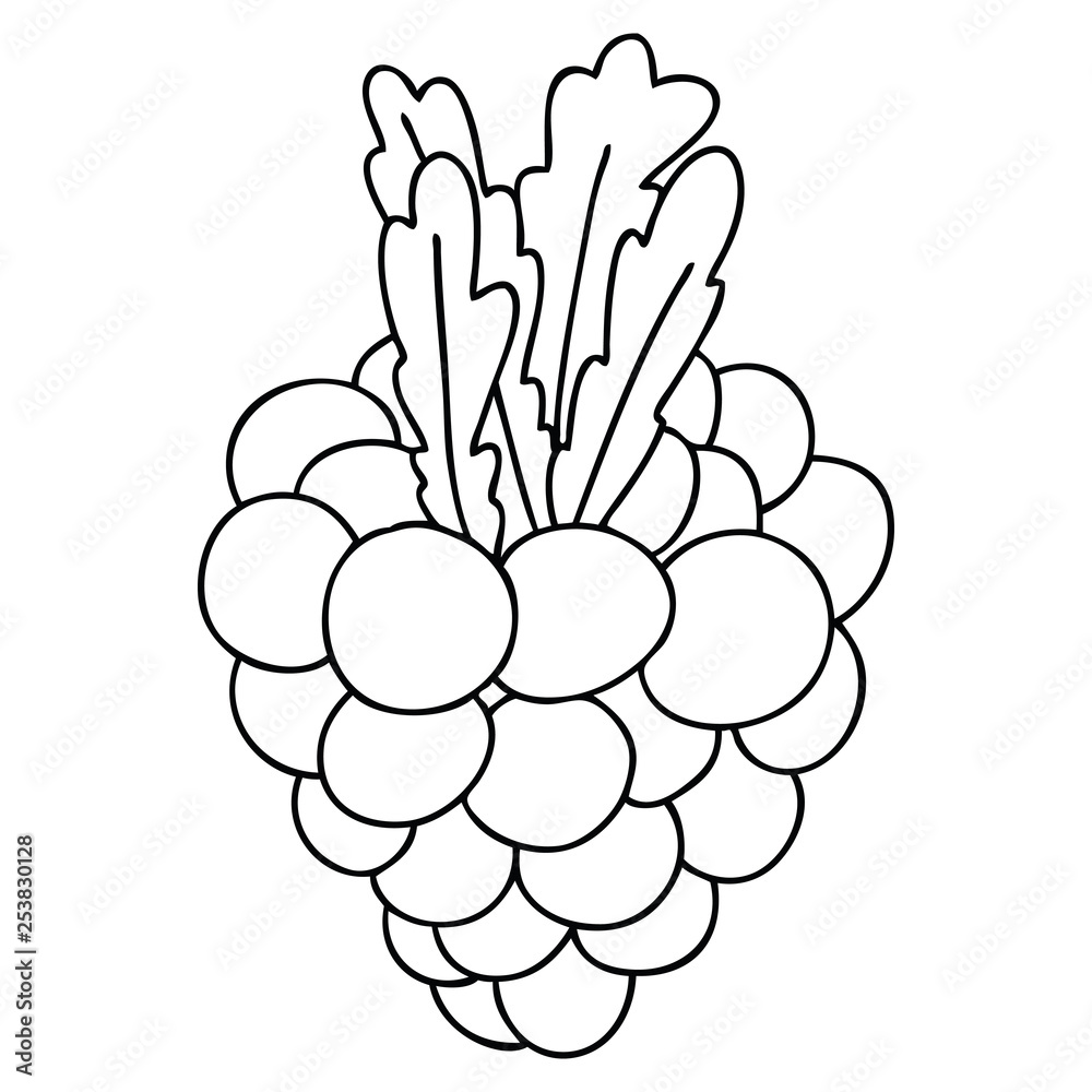 bunches of grapes cartoon illustration Stock Vector Image & Art - Alamy