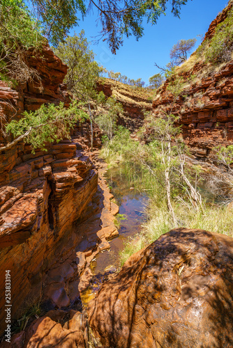 hiking down in hancock gorge in karijini national park, western australia 9