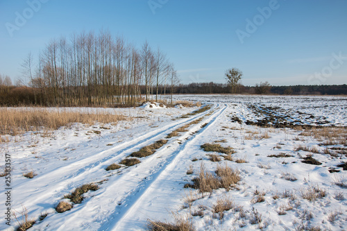 Snow-covered country road through fields. Coppice and blue sky