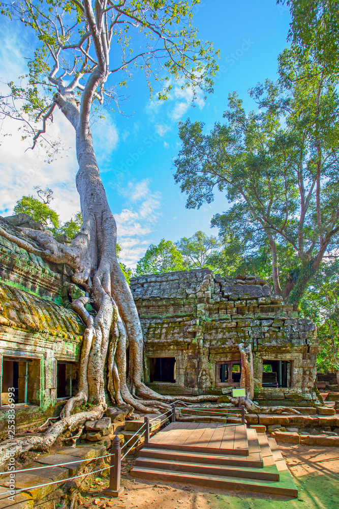 Naklejka premium Ruins of Ta Prohm temple