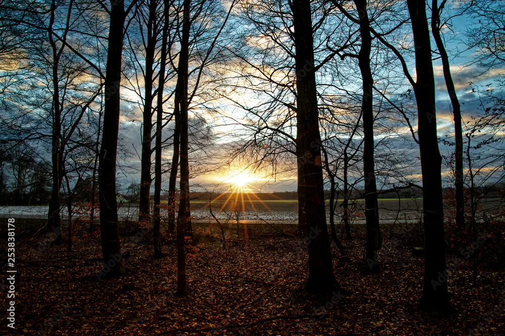 Sunset in the forest in winter Sunset in the forest in winter