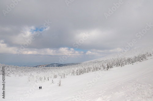 panorama view of snow monster on Mt.Zao © aon168