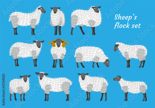Sheep vector set flock group with cute funny cartoon characters. Lamb poddy ewe jumbuck mutton childish infantile. Comic comical decoration textile fabric cloth. 