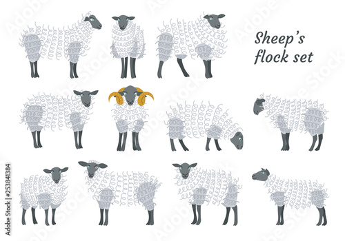 Sheep’s flock set