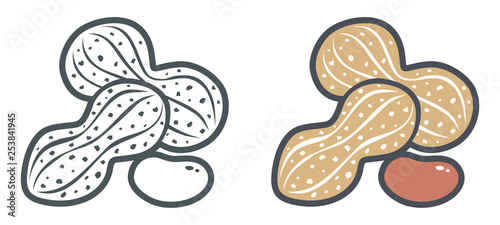 Flat vector icons of peanut