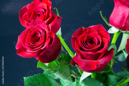 Fototapeta Naklejka Na Ścianę i Meble -  red roses on a white background