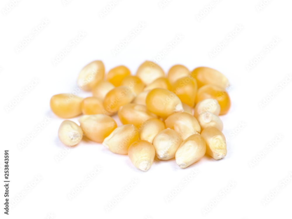Fototapeta premium Pile of dried corn