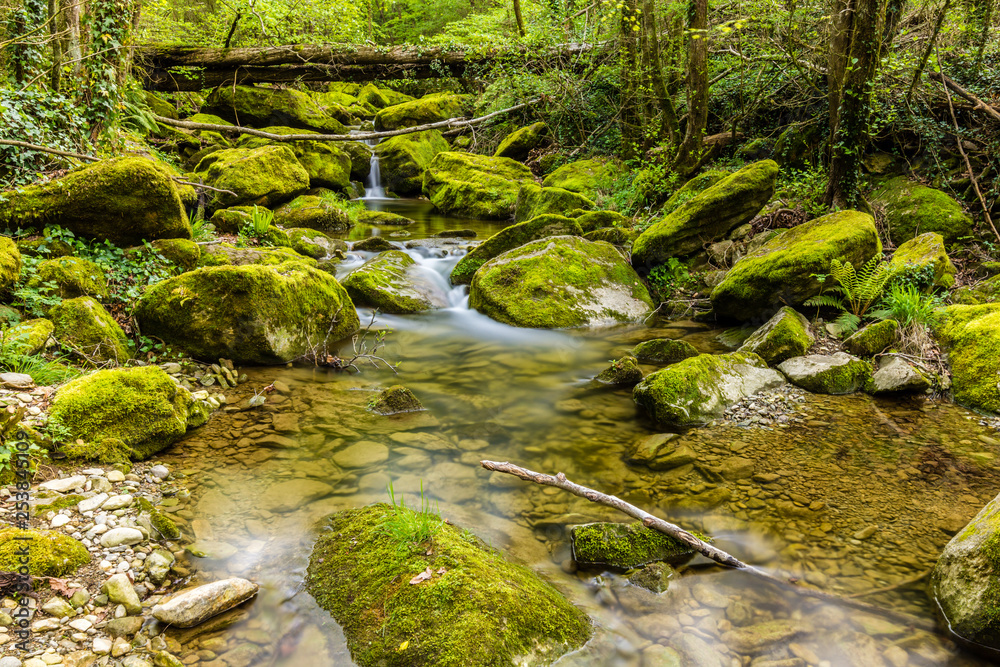 Stream of water with moss on the rocks and a wooden bridge. Stream of water with moss on the rocks and a wooden bridge.