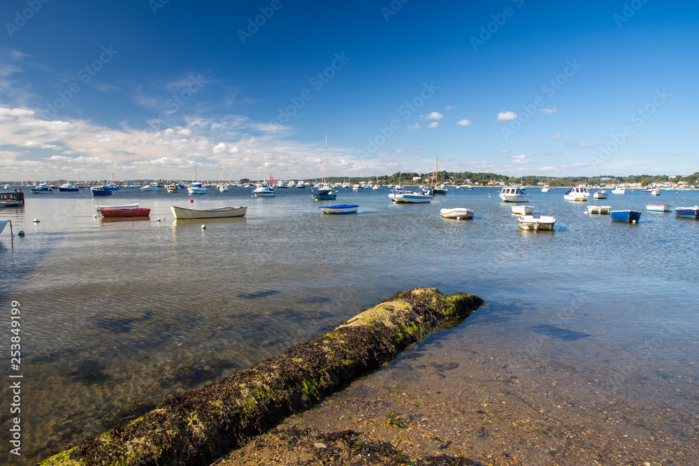 Poole Harbour Dorset England Poole Harbour Dorset England