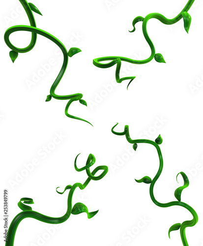 Plant Vines Green, Leaf Four Twisting