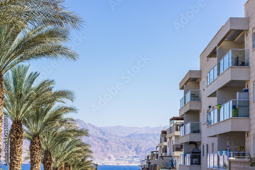 south city street symmetry photography with house buildings apartment and palm trees on soft blue sky background in summer season clear weather time, Eilat Israel  © Артём Князь