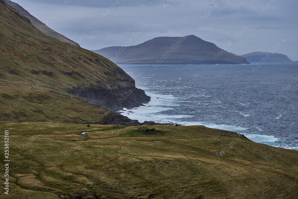 Landscape Picture of wild nordic coastline without trees and with mountains and stormy north atlantic ocean taken in cloudy, rainy and windy spring day in Faroe islands, part of Kingdom of Denmark.