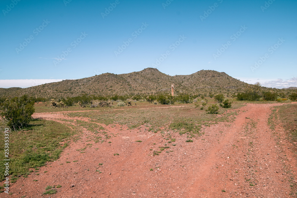 Arizona Desert