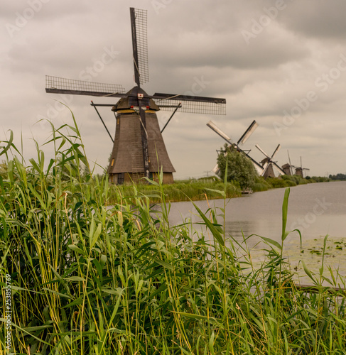 Cuadro en lienzo Netherlands, Rotterdam, Kinderdijk, heritage windmill above lush green grass alo