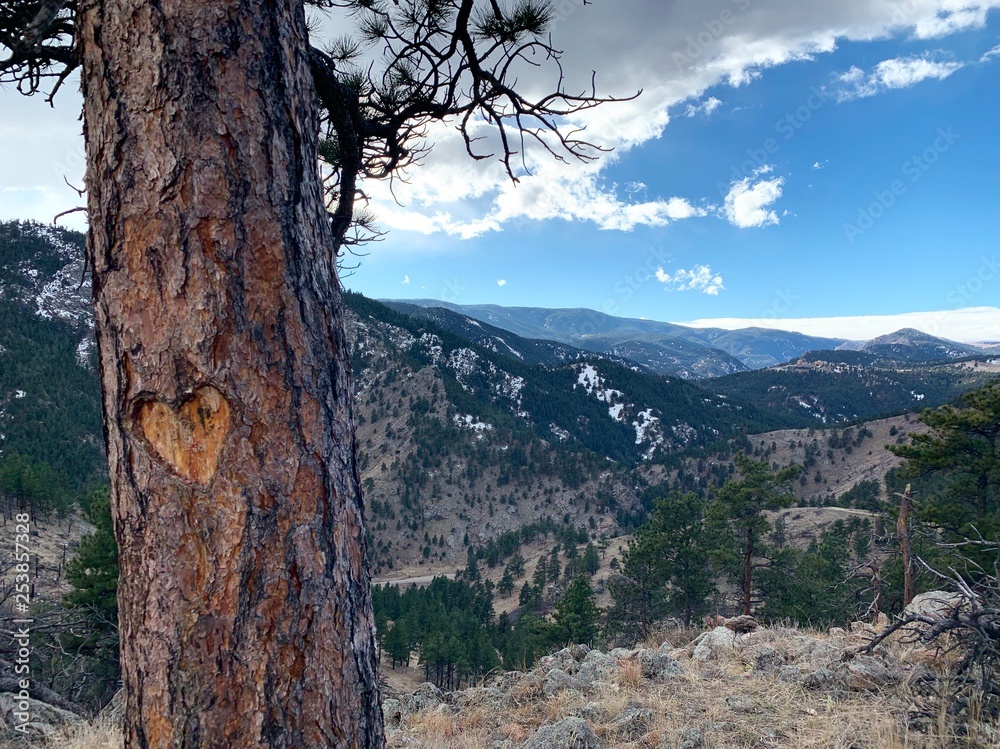 carve love into adventure carve love into adventure