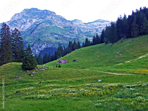 Alpine pastures and meadows on the slopes of Alpstein mountain range and in the river Thur valley - Cantons of St. Gallen and Appenzell Innerrhoden, Switzerland photo