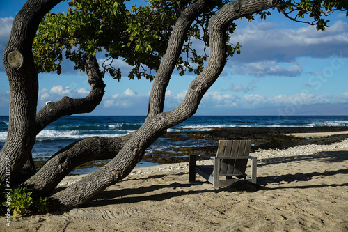 Chair on sand beach under a tree overlooking the ocean.