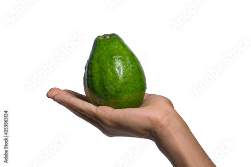Avocado on latin hand, white background