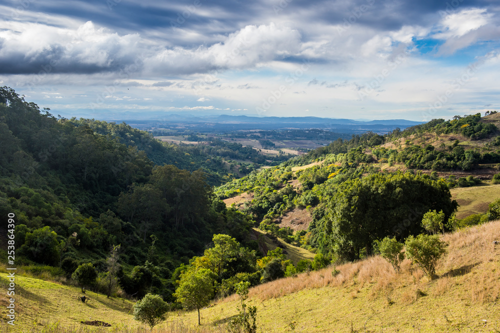 Australia, New South Wales, Vine region of Hunter valley Australia, New South Wales, Vine region of Hunter valley