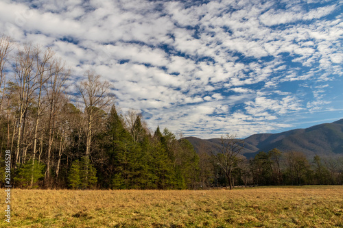 Field in Cades Cove in Great Smoky Mountains National Park