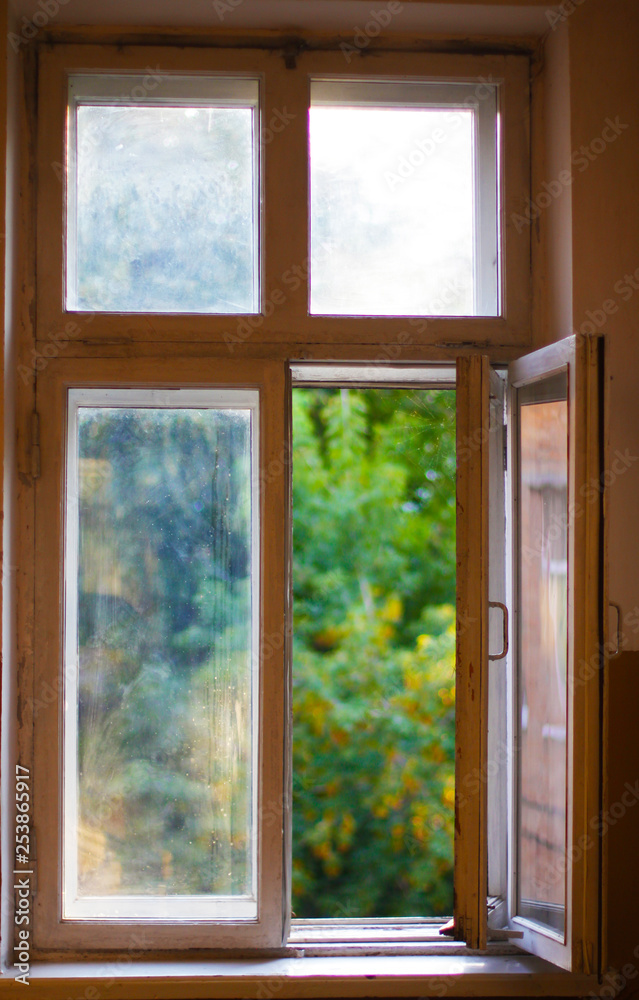 Fototapeta premium Green trees in the yard throu old window