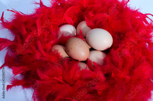  Eggs, quail, different colors, as food, as the birth of a new life, as a valuable product, as foodeggs are different, white, colored, speckled chicken, speckled