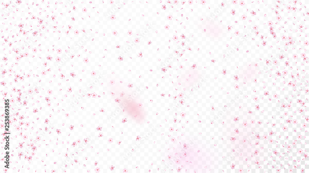 Nice Sakura Blossom Isolated Vector. Feminine Showering 3d Petals Wedding Texture. Japanese Oriental Flowers Wallpaper. Valentine, Mother's Day Spring Nice Sakura Blossom Isolated on White