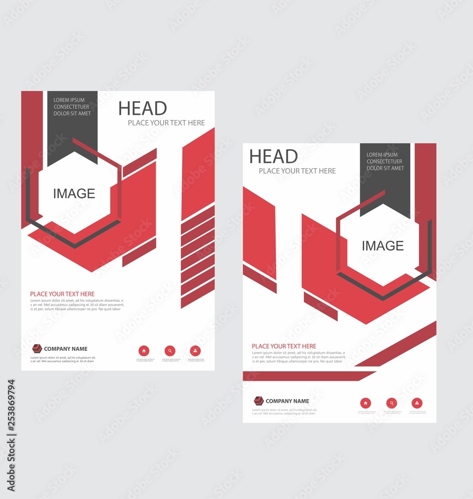 Fototapeta premium modern hexagonal design template