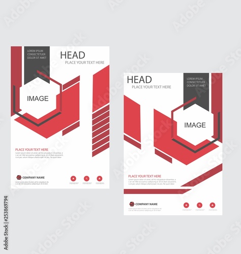modern hexagonal design template