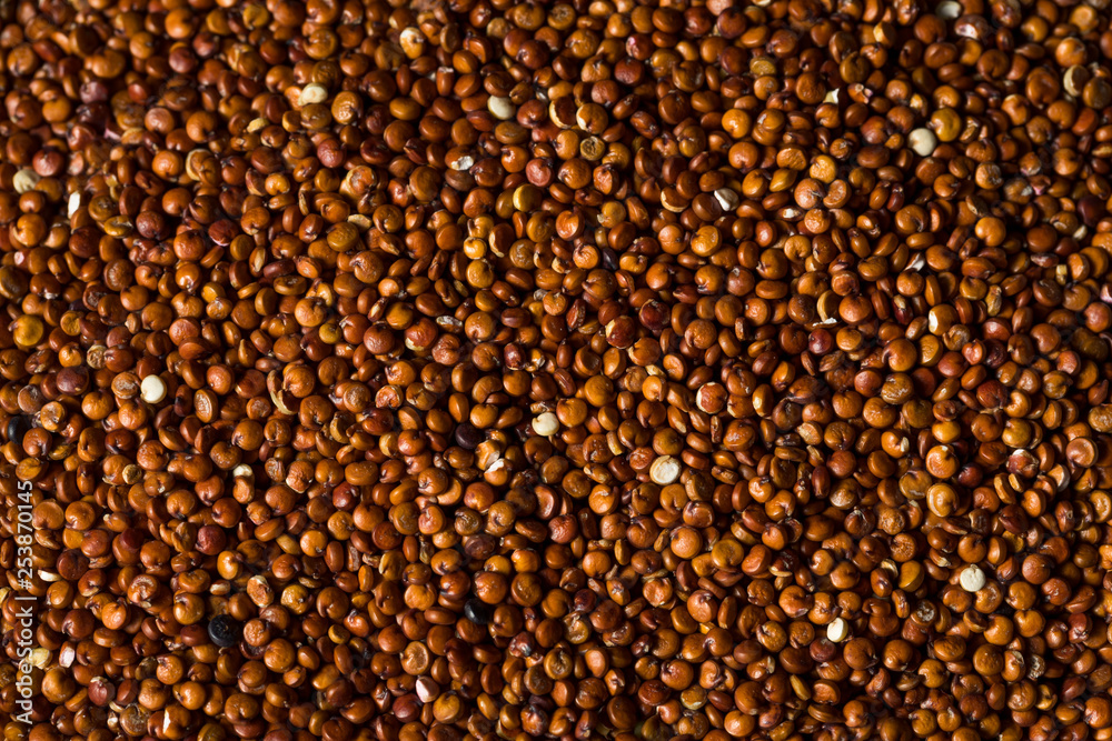 Red Organic Quinoa Grain Red Organic Quinoa Grain