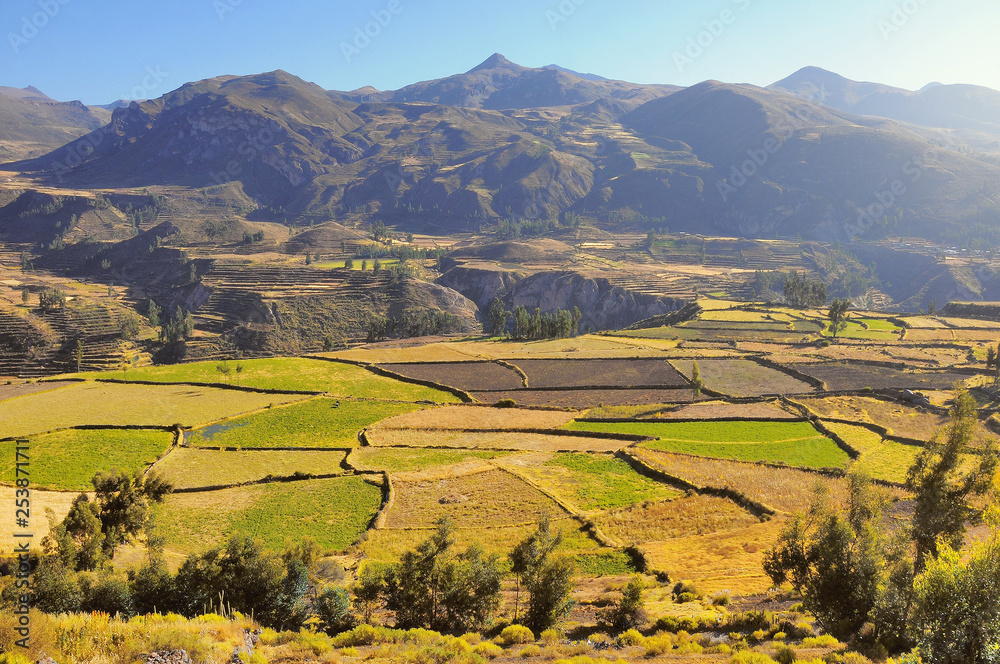 Obraz premium Colca Canyon, Peru,South America. One of the deepest canyons in the world.