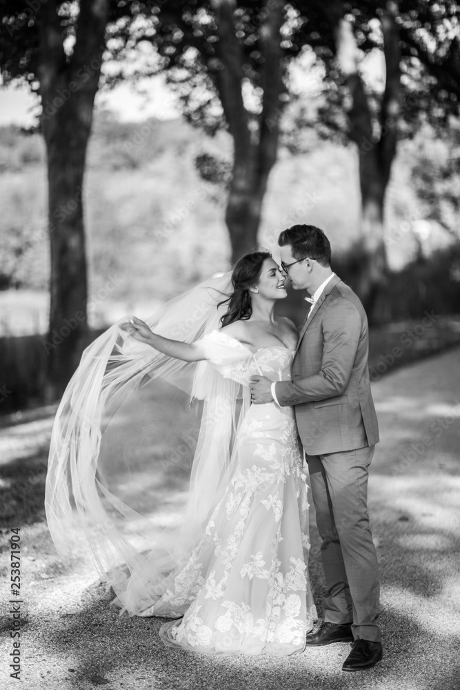 Beautiful wedding couple. Black and white photo of gorgeous bride in luxury wedding dress with bridal veil and a stylish groom, they hug each other with love Beautiful wedding couple. Black and white photo of gorgeous bride in luxury wedding dress with bridal veil and a stylish groom, they hug each other with love