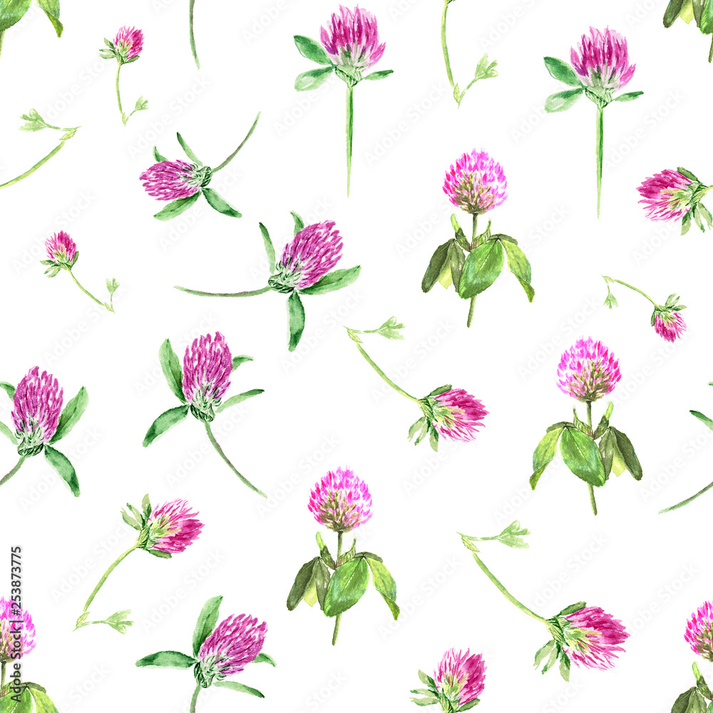 Watercolor clover isolated on white. Gentle seamless pattern with blooming pink clover. Cute botanical wallpaper in Provence style.