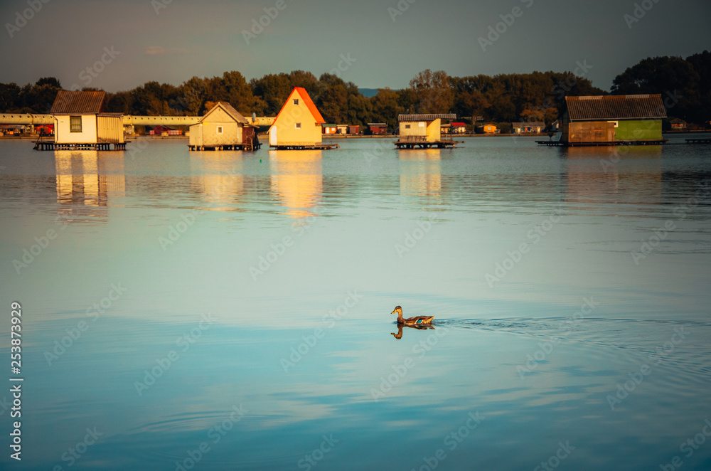 The duck and the fishing float