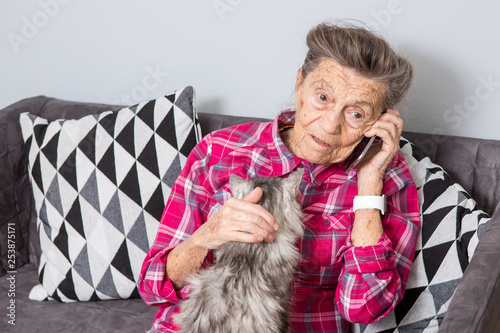 Theme old person uses technology. Mature contented joy smile active gray hair Caucasian wrinkles woman sitting home living room on sofa with fluffy cat using mobile phone, calling and talking phone photo