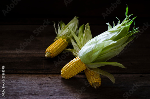 fresh sweet corn still life and great organic food and vegetable 