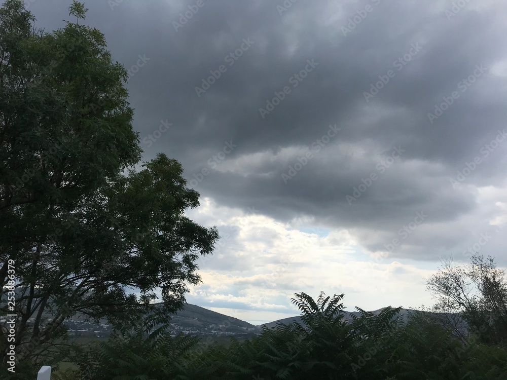 Obraz premium tree in mountains