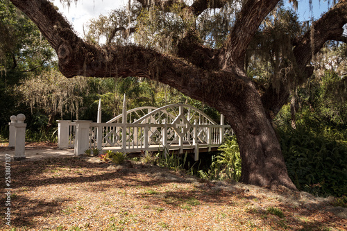 Old wooden bridge along the riverway at historic Koreshan State Park. photo