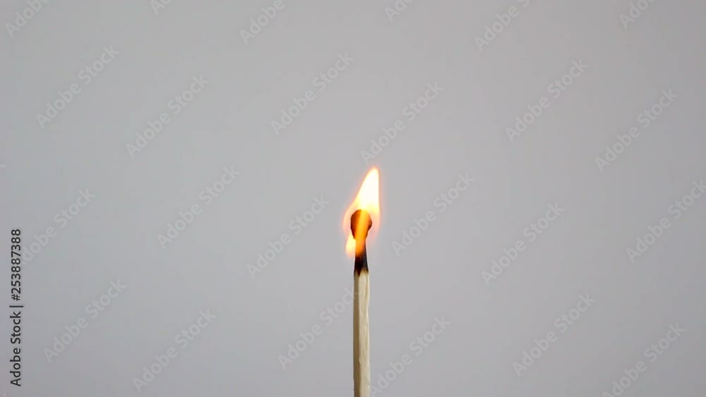 Match burning in front of white backdrop Match burning in front of white backdrop