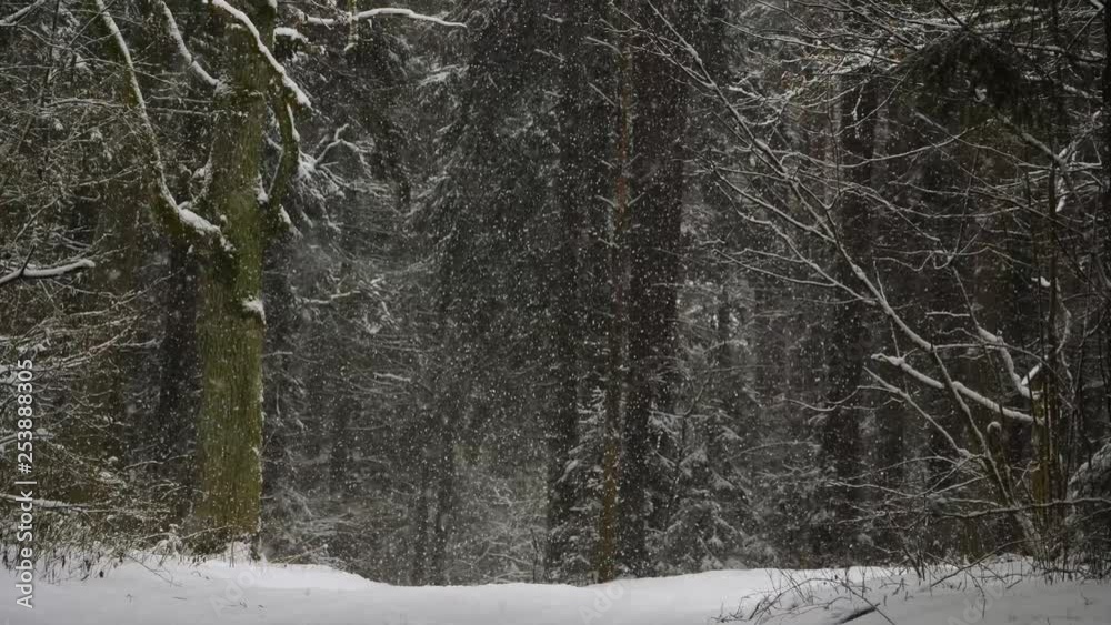 Heavy snow on winter forest road. Heavy snow on winter forest road.