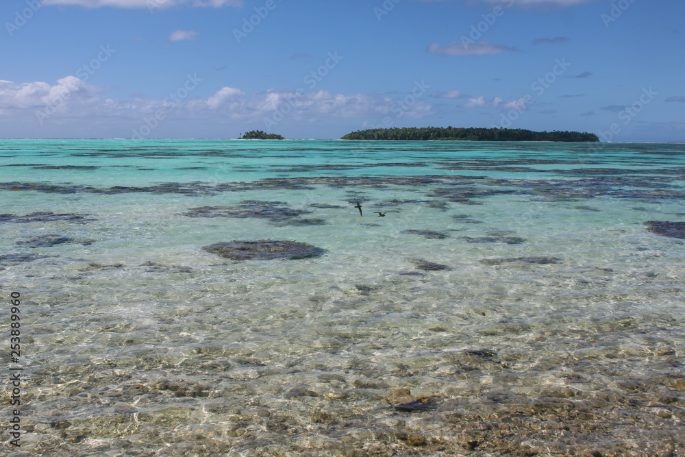 Obraz premium blue turquoise sea at Polynesia