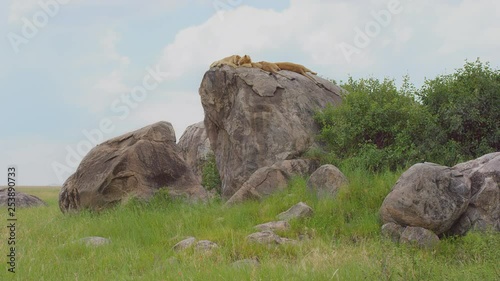 Scenic footage from the Serengetti in Tanzania. photo