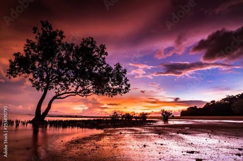 Obraz na płótnie Sunset, Eastpoint, Darwin, NT, Australia