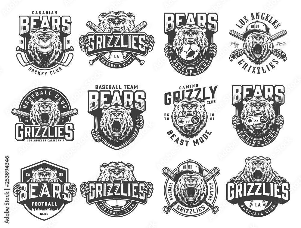 Vintage monochrome sport teams emblems set
