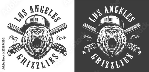 Vintage monochrome baseball club emblem