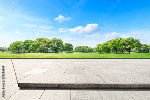 Empty square floor and green forest in the city park