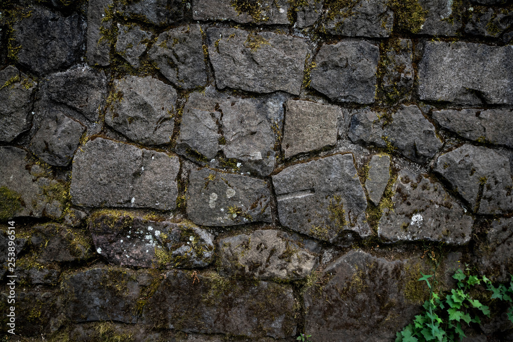 Mossy stone wall Mossy stone wall