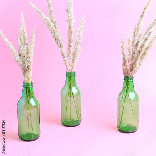 autumn composition. dry flowers in green vases. pink background, square frame